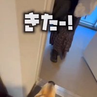 帰ってきたママと赤ちゃん