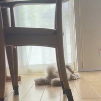 溶けちゃいました