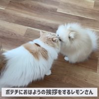 「おはよう」のご挨拶中