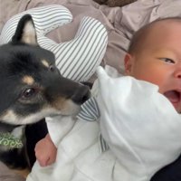 再び匂いをクンクン…