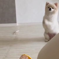 お参りみたいな攻略法！？