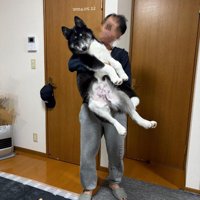 ついに20kg突破！