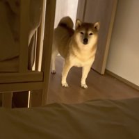 「…。」