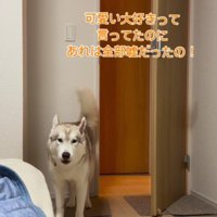 「一番って言ったじゃん！！」