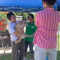 スタッフとも交流