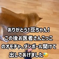 健気な姿にホッコリ