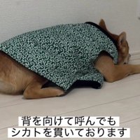 背を向けて完全無視