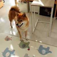 「どこにいった？」とキョロキョロ