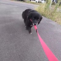 いつまでも抵抗していた