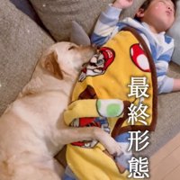眠るふたり