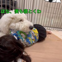 愛しかない光景にホッコリ