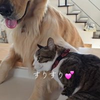 お顔をスリスリ♪