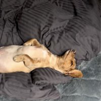 マットレスの寝心地の良さは確実