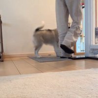 パウくんとママ