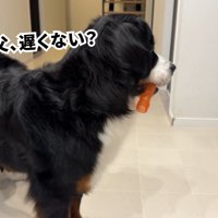 「そういえば…パパ、遅くない？」