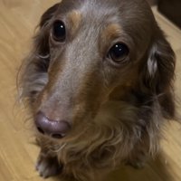 ナデナデ嬉しいね