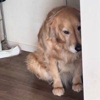 白目が見えるべるちゃん