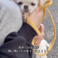 泣いちゃいそう