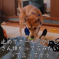ボール遊びをすすめるワンジローくん