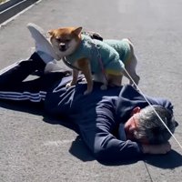 背中に乗る姫ちゃん