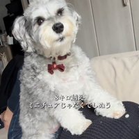 もなかちゃんの成長4