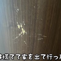ママが心配で扉をカリカリ