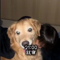 寝るときも一緒だよ！