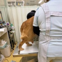 最後までへっぴり腰でした