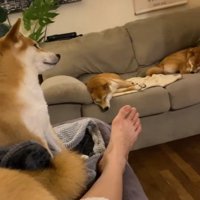 ウトウトしている子も