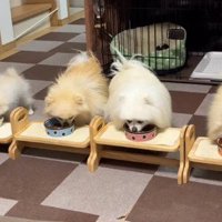 ホッコリ心温まる光景