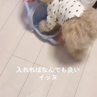 体をまとめて…