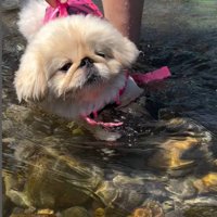 スイミングもそこそこに…