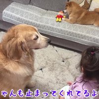 頼った相手はおからちゃん