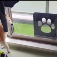 「ほら、蝶とかいるやろ？」