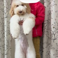 息子さんと並ぶほど成長