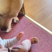 女の子が転んでしまう場面も…！