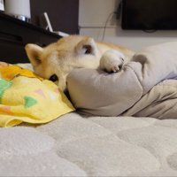 のんびり