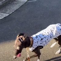 かっこいいのに本人は不服！？
