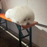 ぬいぐるみだと思われたようです（笑）