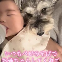 キュンとしてしまいます