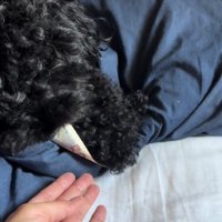 イタズラも許せる♡