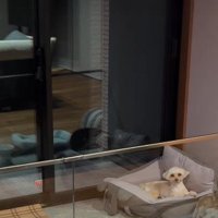 なつちゃんを先生にしてみたら…