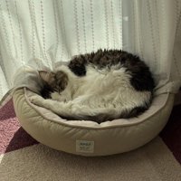 「やっぱり猫用だ♪」