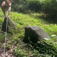 運動神経抜群な岳ちゃん