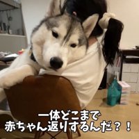 日々「赤ちゃん」を極めます