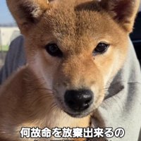 「今度こそ幸せになってほしい…」