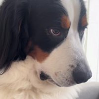 悪そうな顔でイタズラすることも