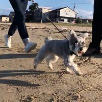 とっても楽しそう！