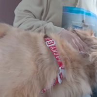 おばあちゃんにベッタリ♡