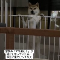 「なんでママおるん…」